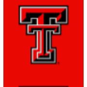 School of Art Director at Texas Tech University